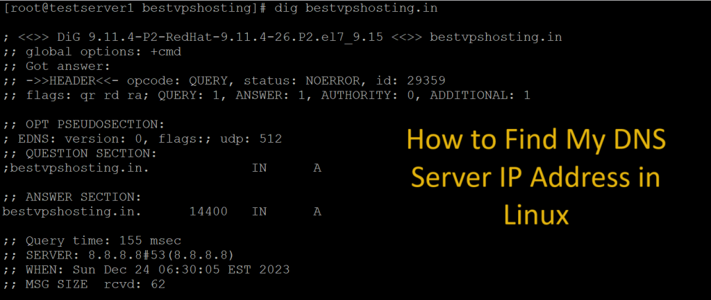 How to Find My DNS Server IP Address in Linux